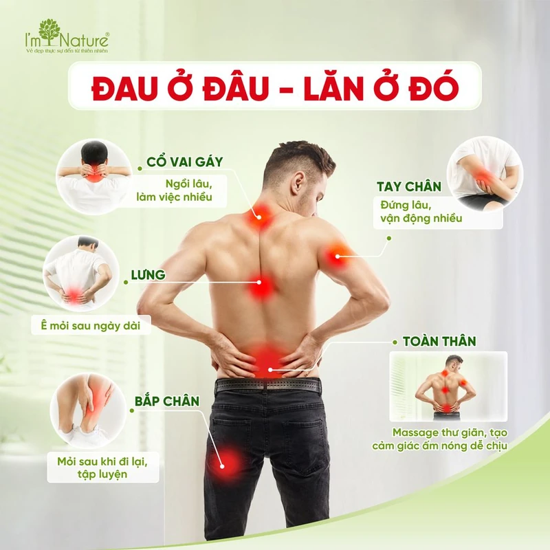 Các vùng có thể massage