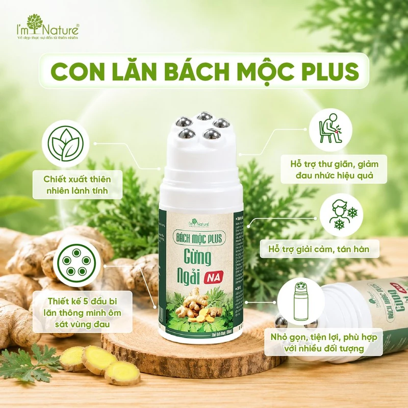 Điểm nổi bật của Bách Mộc Plus